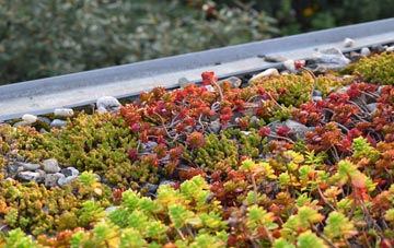 the cost of Catacol green roof installation