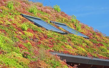 Catacol living roof systems