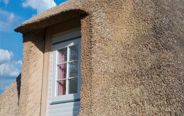 Catacol thatch roof disadvantages