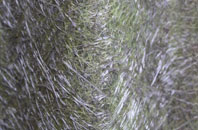 Catacol fibreglass roof work